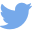 Twittern Icon